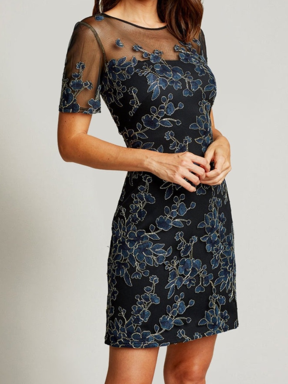 Tadashi Shoji 6 Cardea Embroidered Tulle Dress